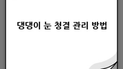 댕댕이 눈물자국, 이젠 안녕! 건강한 눈 관리 비법